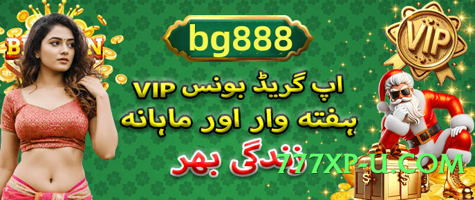 pkrbet Chief v5.1.3 2025 App Preview